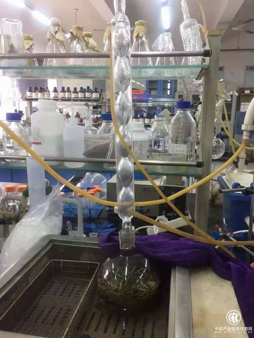 吉林柳河县 以葡聚糖大米技术开发引领农业升级，推动农民持续增收